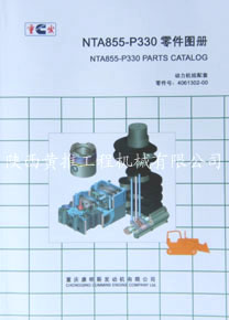 ˹NTA855-P330D